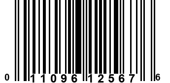 011096125676