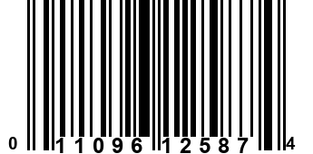 011096125874