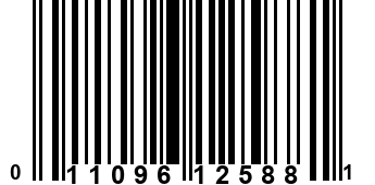 011096125881