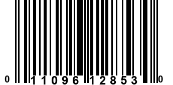 011096128530