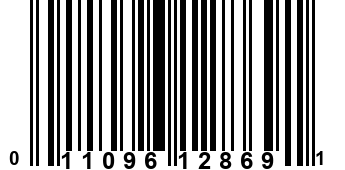 011096128691