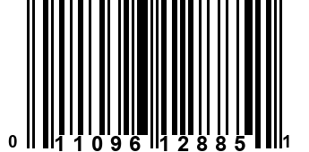 011096128851