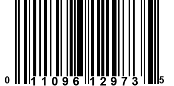 011096129735