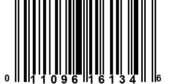 011096161346