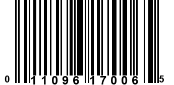 011096170065