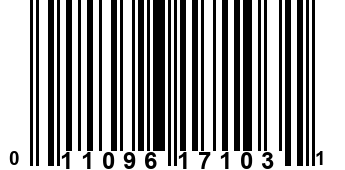 011096171031