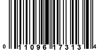 011096173134