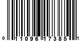 011096173851