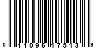 011096175138