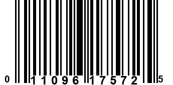 011096175725