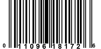 011096181726