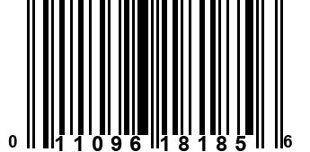 011096181856