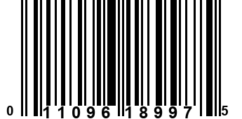 011096189975