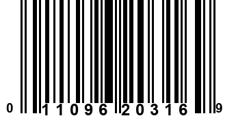 011096203169