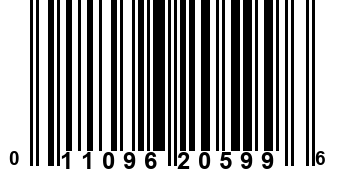 011096205996