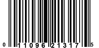 011096213175