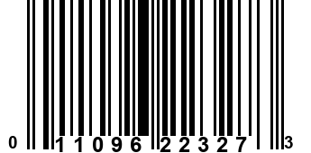 011096223273