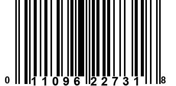 011096227318