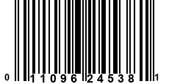 011096245381