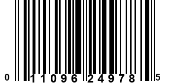 011096249785