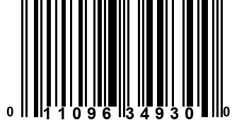 011096349300