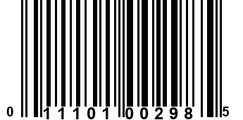 011101002985