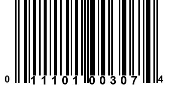 011101003074