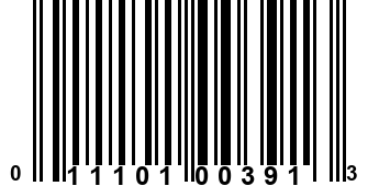 011101003913