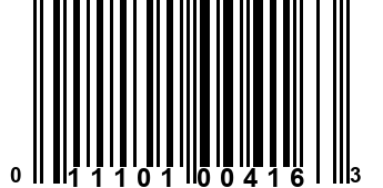 011101004163