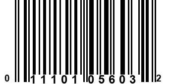 011101056032