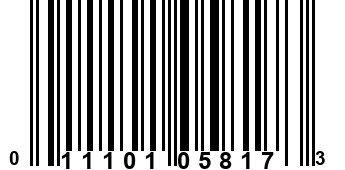 011101058173