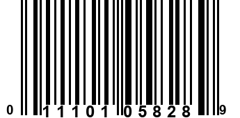 011101058289