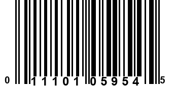 011101059545