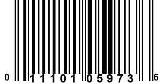 011101059736