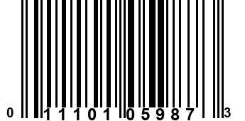 011101059873