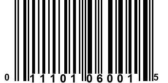 011101060015