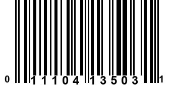 011104135031