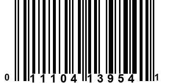 011104139541