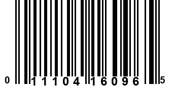 011104160965