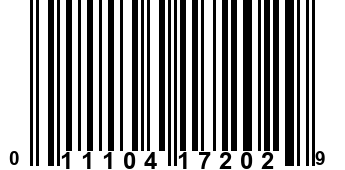 011104172029