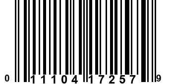 011104172579