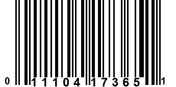 011104173651