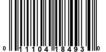 011104184930