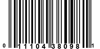 011104380981