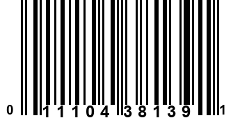 011104381391