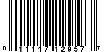 011117129577