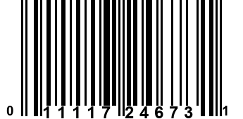 011117246731