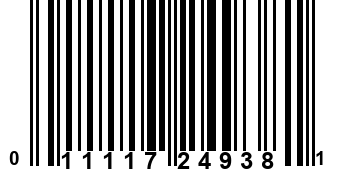 011117249381