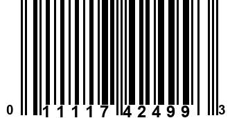 011117424993