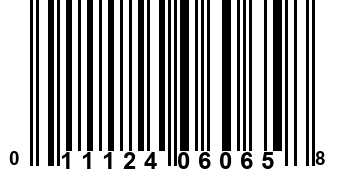 011124060658